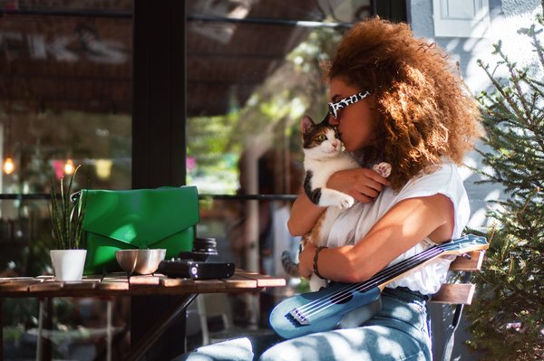 Découvrez les meilleurs bars à chat à paris pour les amoureux des félins